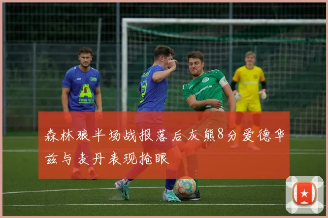 森林狼半场战报落后灰熊8分爱德华兹与麦丹表现抢眼