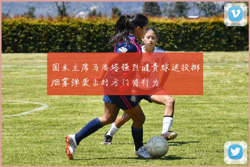 国米主席马洛塔强烈谴责球迷投掷烟雾弹袭击对方门将行为
